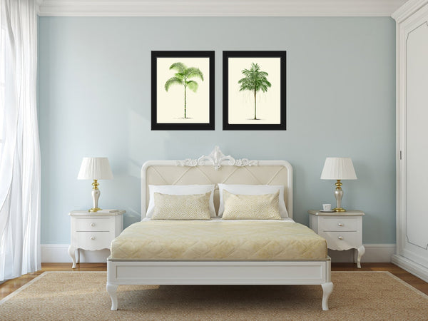 Vintage Palm Tree Print Tropical Botanical Wall Art Set of 2 Prints Beautiful Antique Beach Home Room Decor Dining Room Bedroom to Frame PTL