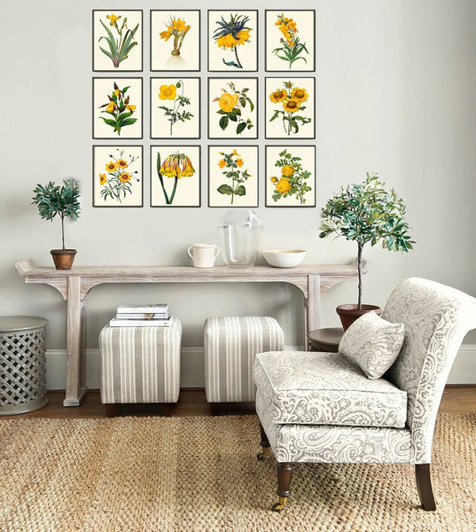 Botanical Wall Art Large Gallery Set of 12 Prints Yellow Beautiful Antique Flowers Floral Interior Design Designer Home Decor to Frame RE