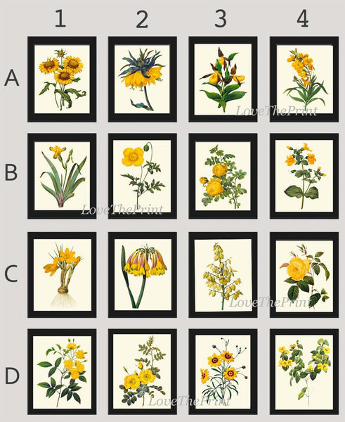 Botanical Wall Art Large Gallery Set of 16 Prints Yellow Beautiful Antique Flowers Floral Interior Design Designer Home Decor to Frame RE