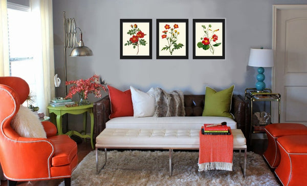 Red Flowers Botanical Wall Art Set of 3 Prints Beautiful Antique Vintage Roses Nasturtium Dining Room Farmhouse Home Room Decor to Frame RE