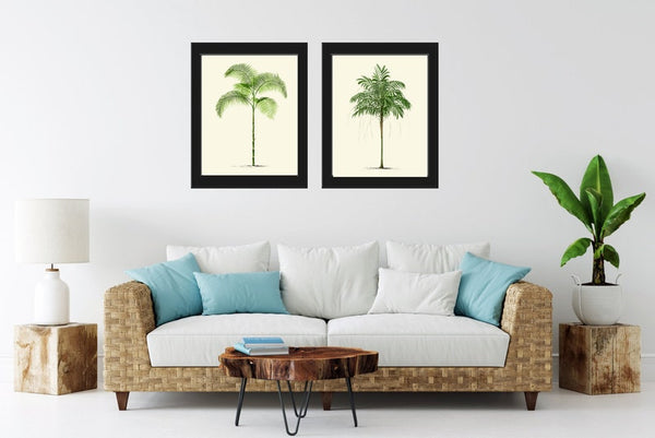 Vintage Palm Tree Print Tropical Botanical Wall Art Set of 2 Prints Beautiful Antique Beach Home Room Decor Dining Room Bedroom to Frame PTL