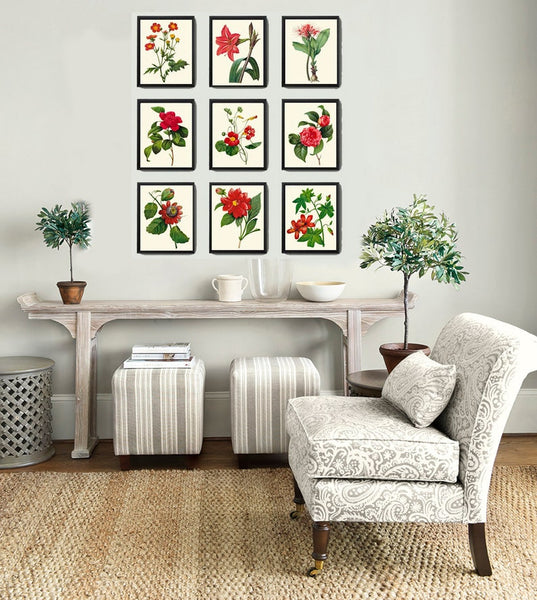 Red Flowers Botanical Wall Art Set of 9 Prints Beautiful Antique Vintage Peony Roses Camellia Nasturtium Dining Room Home Decor to Frame RE