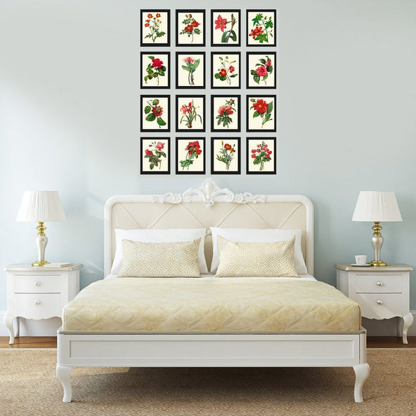 Red Flowers Botanical Wall Art Set of 16 Prints Beautiful Antique Vintage Dining Room Bedroom Floral Interior Design Home Decor to Frame RE