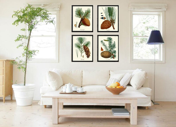 Pinecone Botanical Wall Art Set of 4 Prints Beautiful Antique Vintage Pine Tree Cones Forest Nature Farmhouse Cabin Home Decor to Frame R