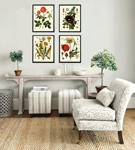 Red Poppy Roses Dandelion Hollyhocks Botanical Wall Art Set of4 Prints Beautiful Antique Vintage Flower Poster Home Room Decor to Frame KOH