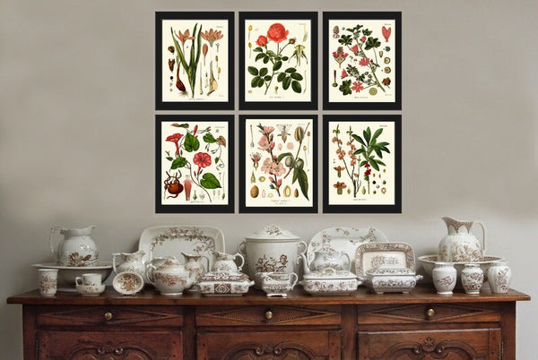 Botanical Wall Art Set of 6 Prints Beautiful Antique Vintage Red Pink Flowers Blooming Almond Roses Garden Home Room Decor to Frame KOH