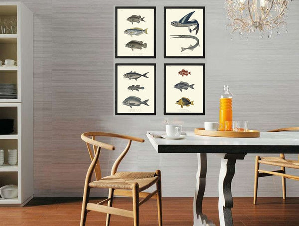 Vintage Fish Wall Art Set of 4 Prints Beautiful Antique Sea Ocean Beach Decoration Coastal Tropical Cottage Bathroom Home Decor to Frame HFP