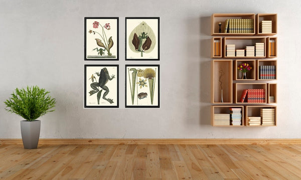 Vintage Frog Wall Art Set of 4 Prints Beautiful Antique Lake River Frogs Aquatic Plants Flowers Green Nature Home Room Decor to Frame MCT