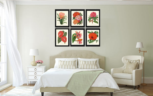 Tropical Flower Plants Botanical Wall Art Set of 6 Prints Beautiful Red Orange Pink Rhododendron Cactus Anthurium Home Decor to Frame PAXT