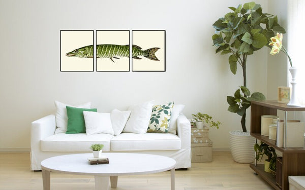 Vintage Fish Wall Art Set of 3 Prints Beautiful Antique Lake River Nature Picture Decoration Poster Illustration Home Decor to Frame TR