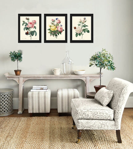 Roses Prints Botanical Wall Art Set of 3 Beautiful Antique Vintage Pink White Yellow Flowers Butterflies Home Room Decor to Frame REDT