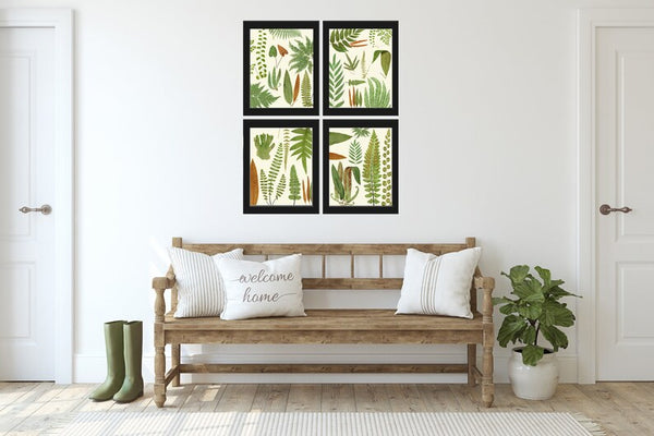 Vintage Fern Prints Botanical Wall Art Set of 4 Beautiful Antique Fern Varieties Plant Chart Green Outdoor Garden Home Decor to Frame EJL