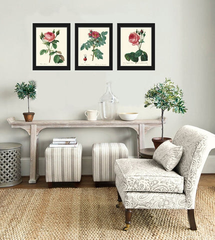 Roses Print Wall Art Set of 3 Beautiful Antique Vintage Dining Living Room Bedroom Hallway Fireplace Cottage Garden Home Decor to Frame REDT