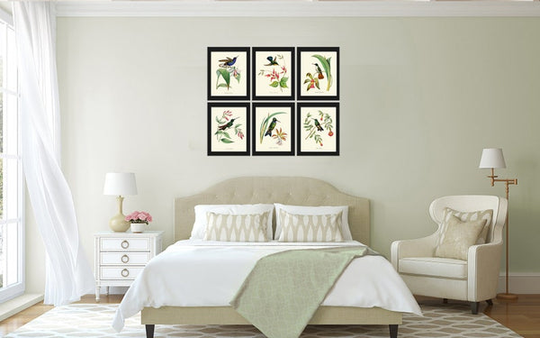 Hummingbirds Bird Wall Art Print Set of 6 Prints Antique Vintage Tropical Island Nature Beach House Cottage Garden Home Decor to Frame NDO