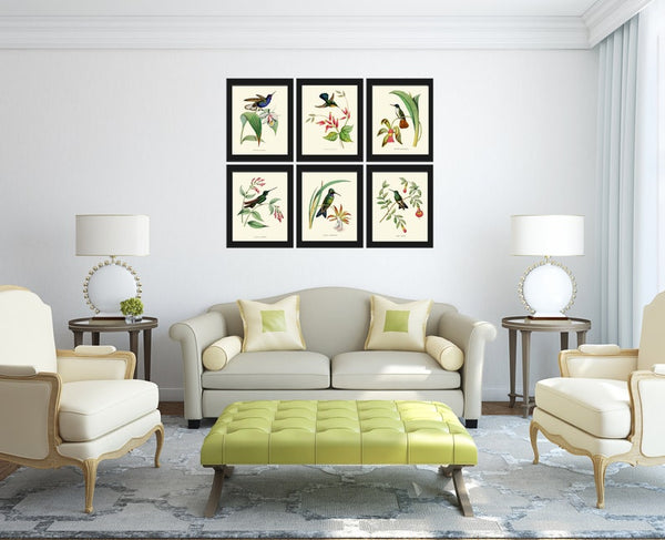 Hummingbirds Bird Wall Art Print Set of 6 Prints Antique Vintage Tropical Island Nature Beach House Cottage Garden Home Decor to Frame NDO