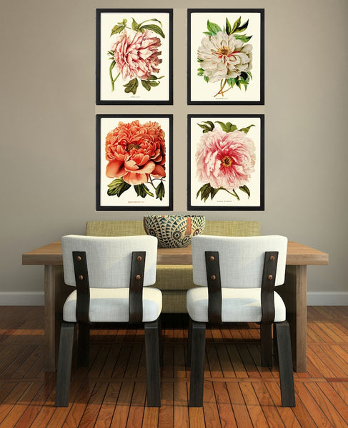 Peony Botanical Prints Wall Home Decor Art Set of 4 Beautiful Antique Vintage Pink White Coral Orange Peonies Flower Garden to Frame PEON