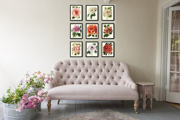 Peony Flowers Botanical Wall Art Set of 9 Prints Beautiful Antique Pink White Coral Orange Illustration Garden Home Decor to Frame PEON