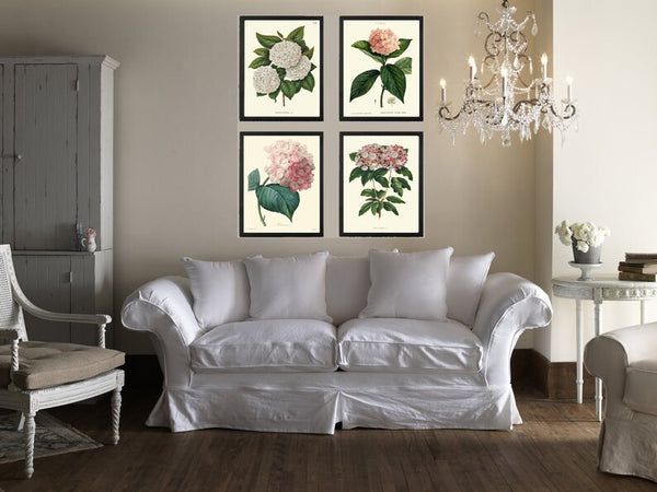 Pink White Hydrangea Hortensia Flowers Plant Prints Botanical Wall Art Set of 4 Beautiful Antique Vintage Spring Summer Garden to Frame HYDR