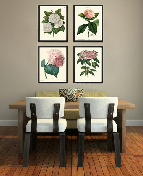 Pink White Hydrangea Hortensia Flowers Plant Prints Botanical Wall Art Set of 4 Beautiful Antique Vintage Spring Summer Garden to Frame HYDR