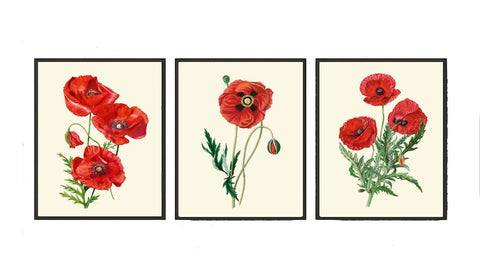 Red Poppy Poppies Botanical Wall Art Decor Set of 3 Prints Beautiful Colorful Green Wildflowers Country Farm Farmhouse Flowers to Frame PRI