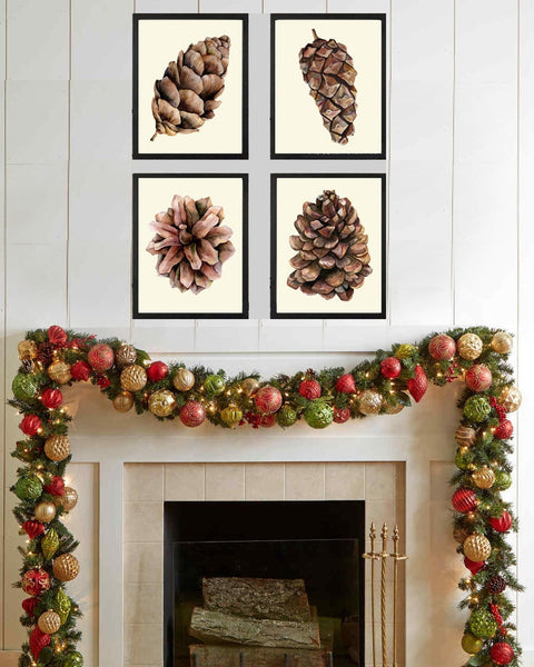 Pinecone Botanical Wall Art Prints Set of 4 Beautiful Pretty Pine Cones Tree Nature Farmhouse Rustic Decoration Home Room Decor to Frame CTW