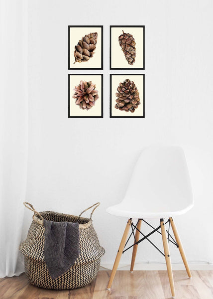 Pinecone Botanical Wall Art Prints Set of 4 Beautiful Pretty Pine Cones Tree Nature Farmhouse Rustic Decoration Home Room Decor to Frame CTW