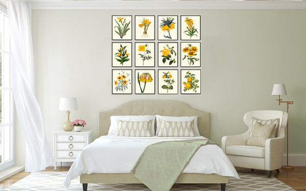 Botanical Wall Art Large Gallery Set of 12 Prints Yellow Beautiful Antique Flowers Floral Interior Design Designer Home Decor to Frame RE