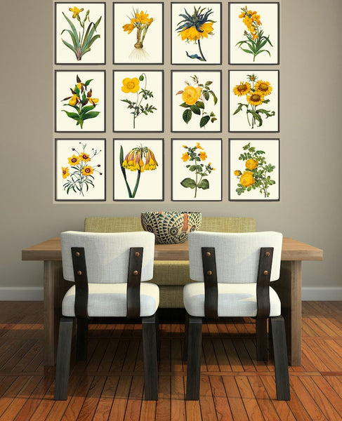 Botanical Wall Art Large Gallery Set of 12 Prints Yellow Beautiful Antique Flowers Floral Interior Design Designer Home Decor to Frame RE