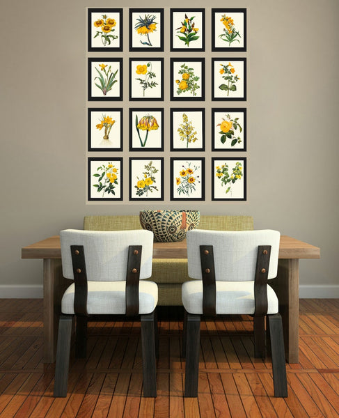 Botanical Wall Art Large Gallery Set of 16 Prints Yellow Beautiful Antique Flowers Floral Interior Design Designer Home Decor to Frame RE