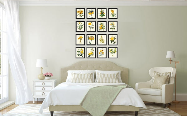 Botanical Wall Art Large Gallery Set of 16 Prints Yellow Beautiful Antique Flowers Floral Interior Design Designer Home Decor to Frame RE