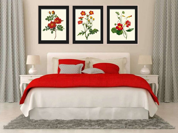 Red Flowers Botanical Wall Art Set of 3 Prints Beautiful Antique Vintage Roses Nasturtium Dining Room Farmhouse Home Room Decor to Frame RE