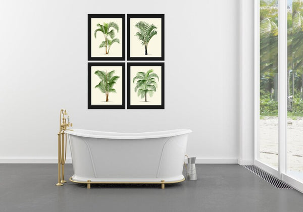 Vintage Palm Tree Print Tropical Botanical Wall Art Set of 4 Prints Beautiful Antique Beach Home Room Decor Dining Room Bedroom to Frame PTL