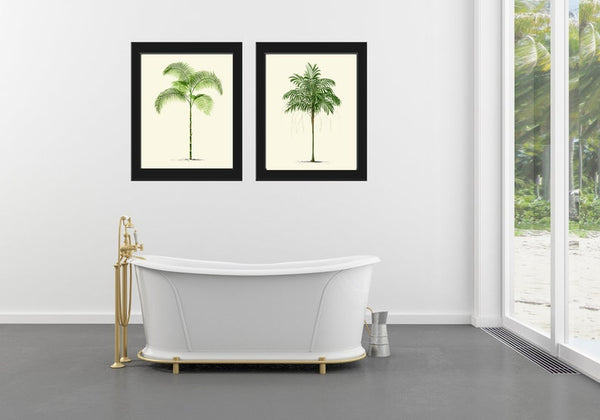 Vintage Palm Tree Print Tropical Botanical Wall Art Set of 2 Prints Beautiful Antique Beach Home Room Decor Dining Room Bedroom to Frame PTL