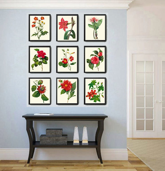 Red Flowers Botanical Wall Art Set of 9 Prints Beautiful Antique Vintage Peony Roses Camellia Nasturtium Dining Room Home Decor to Frame RE