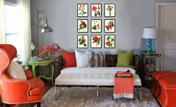 Red Flowers Botanical Wall Art Set of 9 Prints Beautiful Antique Vintage Peony Roses Camellia Nasturtium Dining Room Home Decor to Frame RE