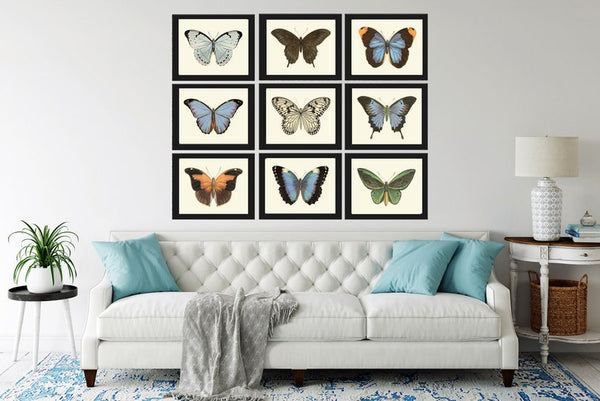 Butterfly Wall Art Set of 9 Prints Beautiful Antique Vintage Blue Green Butterfly Chart Interior Design Decoration Home Decor to Frame LPH