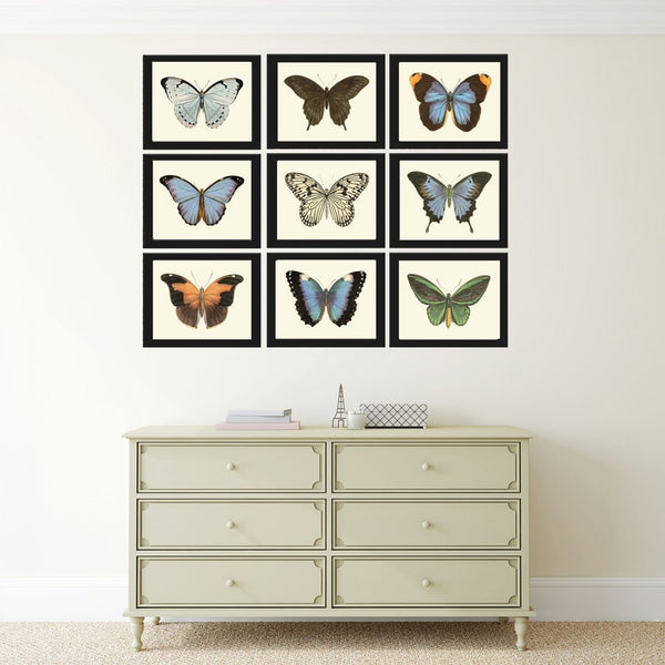 Butterfly Wall Art Set of 9 Prints Beautiful Antique Vintage Blue Green Butterfly Chart Interior Design Decoration Home Decor to Frame LPH