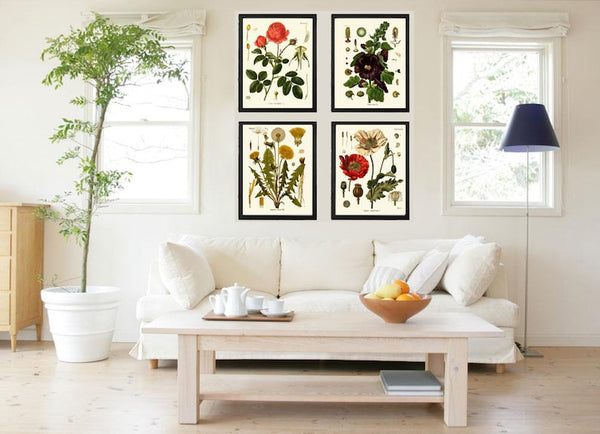 Red Poppy Roses Dandelion Hollyhocks Botanical Wall Art Set of4 Prints Beautiful Antique Vintage Flower Poster Home Room Decor to Frame KOH