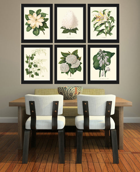 White Flowers Botanical Wall Art Set of 6 Prints Beautiful Vintage Antique Hydrangea Lily Magnolia Floral Home Room Decor to Frame AJW WITT