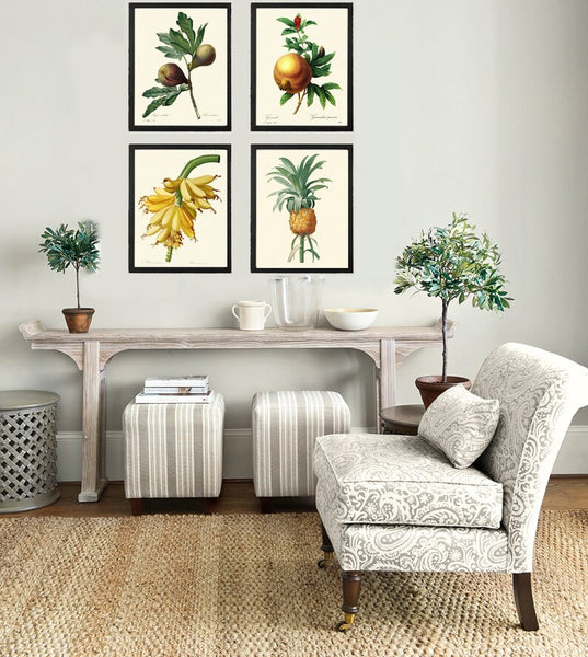 Tropical Fruit Wall Decor Art Prints Set of 4 Beautiful Antique Vintage Fig Pomegranate Banana Pineaple Colorful Home Decor to Frame REDT