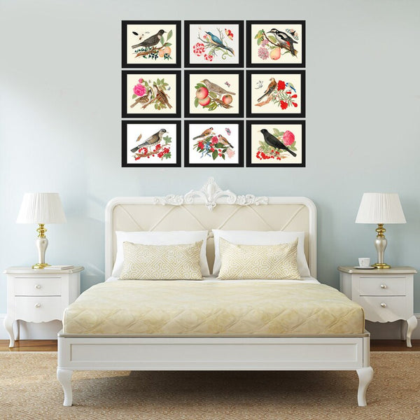 Birds Wall Decor Art Print Set of 9 Beautiful Antique Vintage Flowers Berries Crow Woodpecker Songbirds Decoration Illustration to Frame BOT