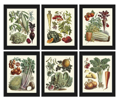 Vintage Garden Prints Wall Art Set of 6 Beautiful Antique Kitchen Dining Room Farmhouse Farming Gardening Home Room Decor to Frame LP