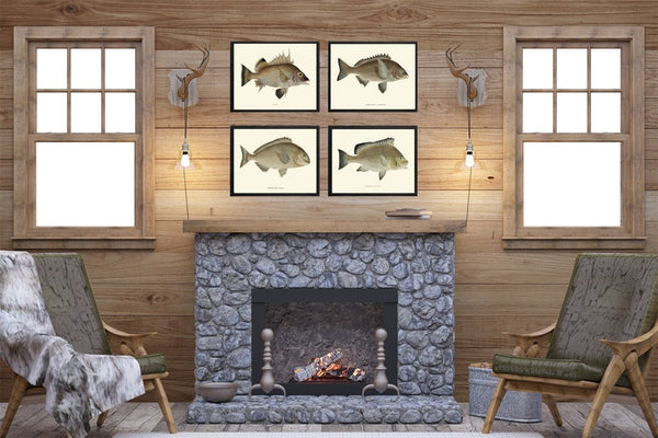 Vintage Fish Wall Art Set of 4 Prints Beautiful Antique Sea Ocean Beach Lake House Cabin Decoration Bathroom Office Home Decor to Frame FJ