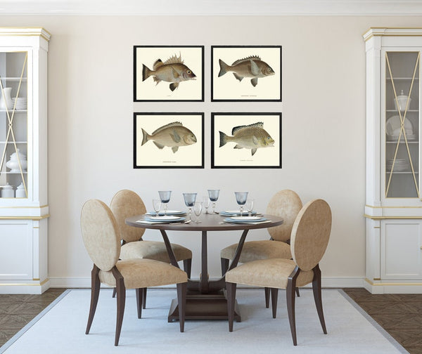 Vintage Fish Wall Art Set of 4 Prints Beautiful Antique Sea Ocean Beach Lake House Cabin Decoration Bathroom Office Home Decor to Frame FJ