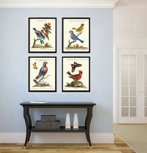 Vintage Bird Nest Wall Art Prints Set of 4 Beautiful Antique Dining Room Living Fireplace Hallway Office Farmhouse Home Decor to Frame MCT