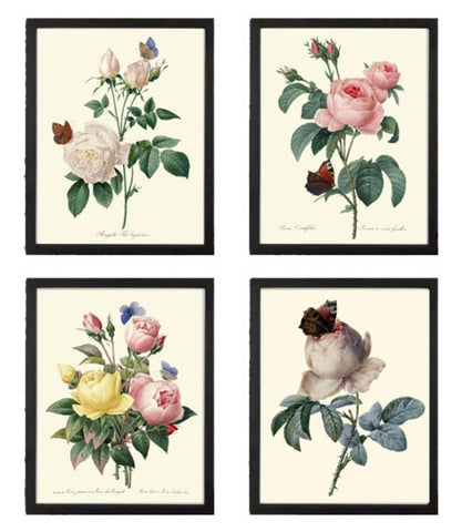 Roses Botanical Print Set of 4 Prints Beautiful Antique Wall Art White Pink Yellow Flowers French Garden Romantic Home Decor to Frame REDT