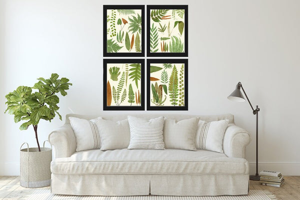 Vintage Fern Prints Botanical Wall Art Set of 4 Beautiful Antique Fern Varieties Plant Chart Green Outdoor Garden Home Decor to Frame EJL