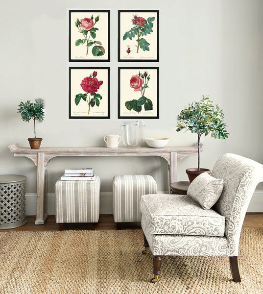 Red Roses Flowers Botanical Wall Art Set of 4 Prints Beautiful Antique Vintage Spring Summer Garden Cottage House Home Decor to Frame REDT