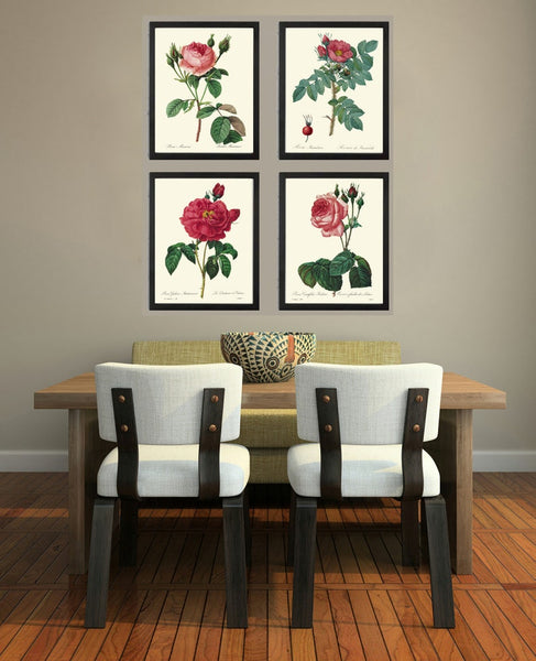 Red Roses Flowers Botanical Wall Art Set of 4 Prints Beautiful Antique Vintage Spring Summer Garden Cottage House Home Decor to Frame REDT