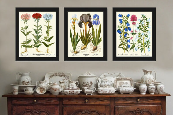 Botanical Wall Art Set of 3 Prints Beautiful Antique Vintage Pink Blue Bluebells Iris Wildflowers Flowers Floral Home Decor to Frame BESL